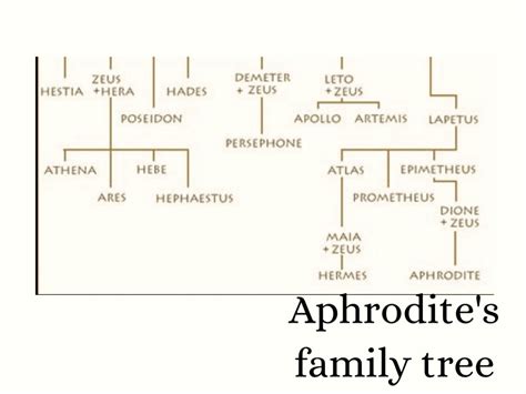 did aphrodite have any siblings|aphrodite's family tree with names.